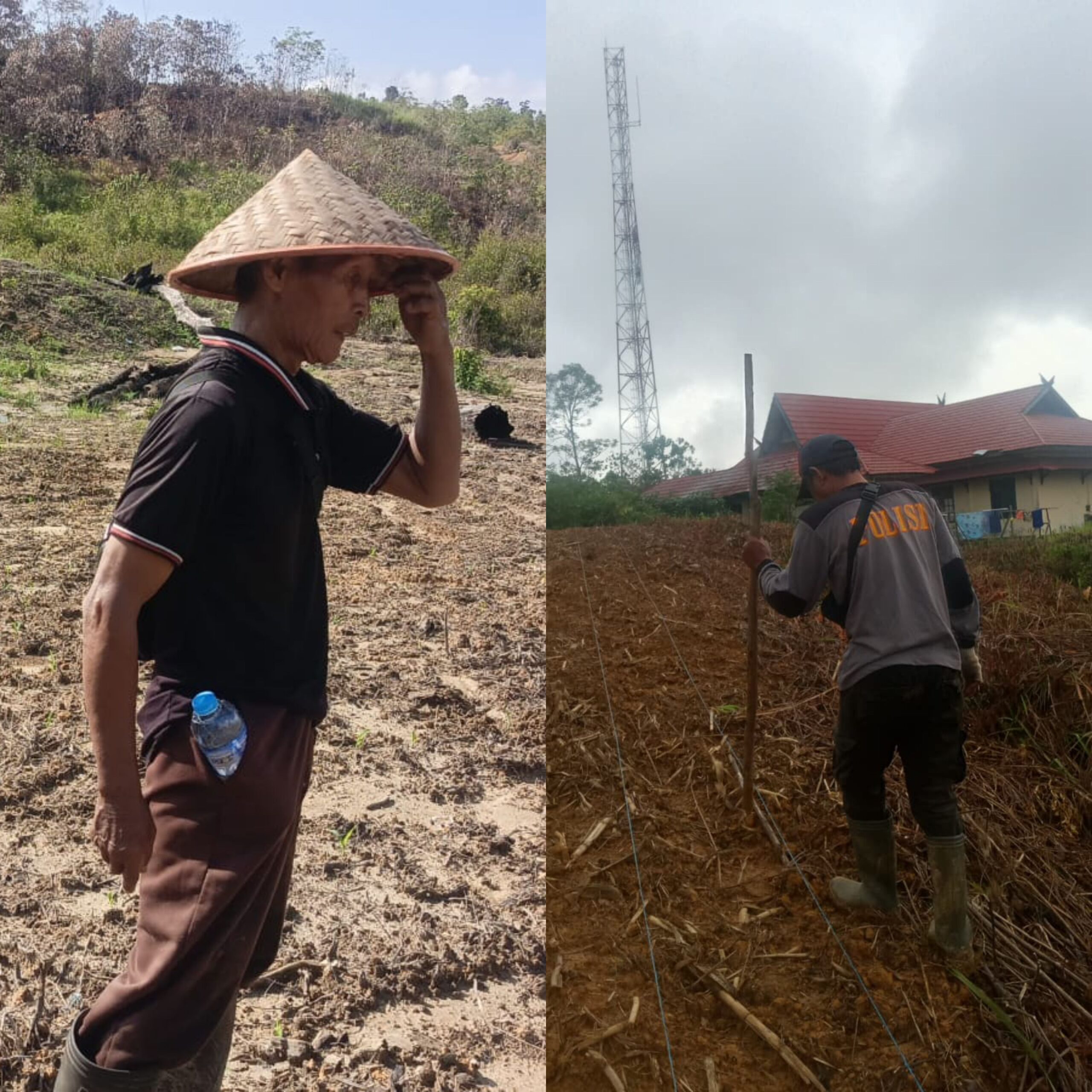 Dari Mako ke Ladang, Polres Gunung Mas Genjot Swasembada Jagung