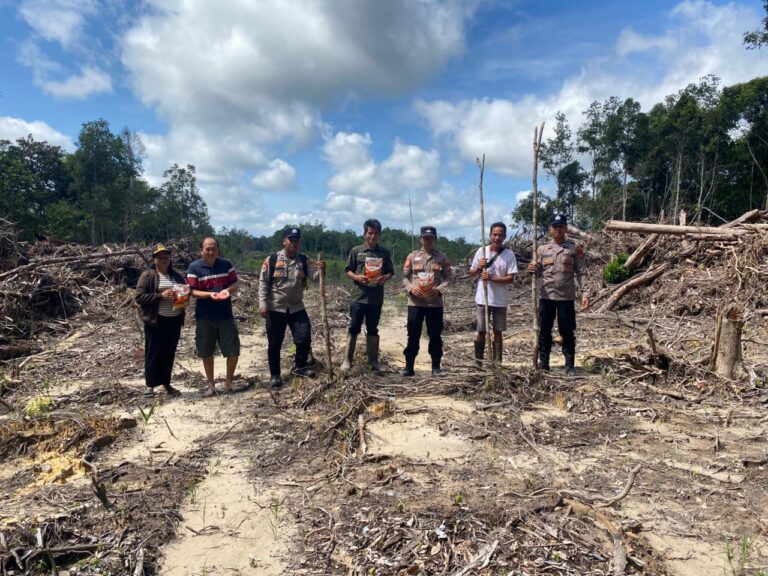 Dukung Swasembada Pangan, Polsek Manuhing dan Warga Tanam Jagung Hibrida di Bereng Belawan