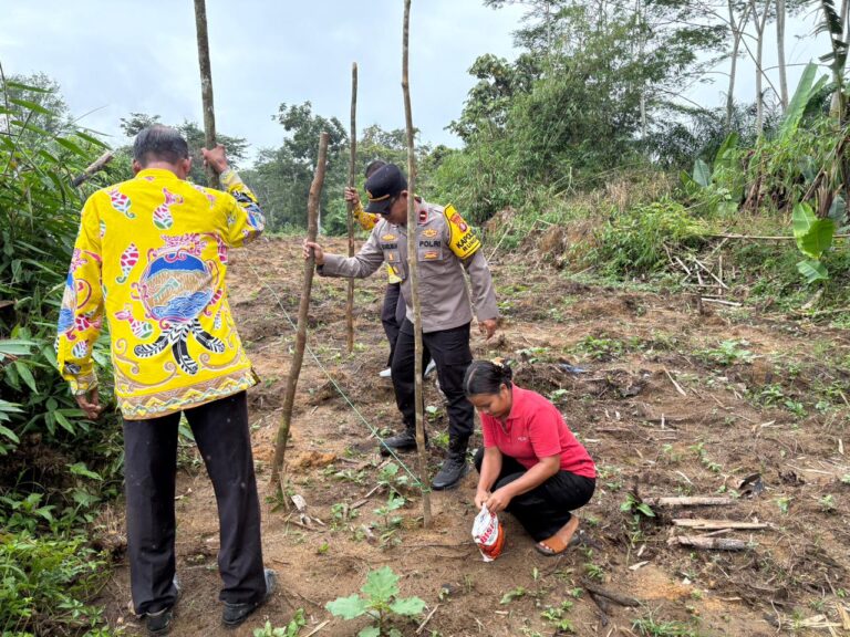 Polsek Rungan dan BUMDes Kolaborasi Garap Lahan Produktif untuk Ketahanan Pangan