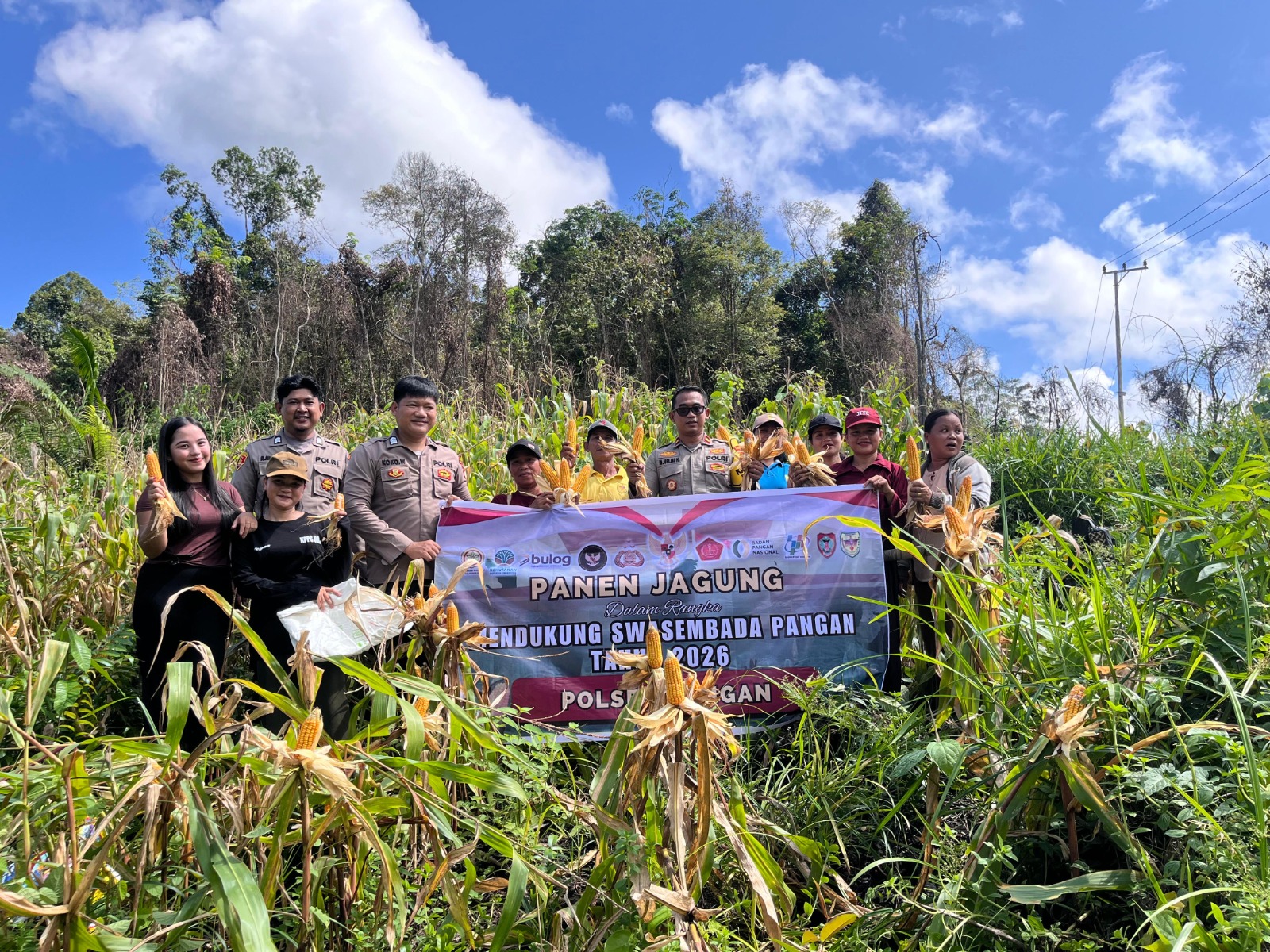 Sinergi Polri dan Petani di Gunung Mas Berbuah Panen Raya Jagung 4 Ton