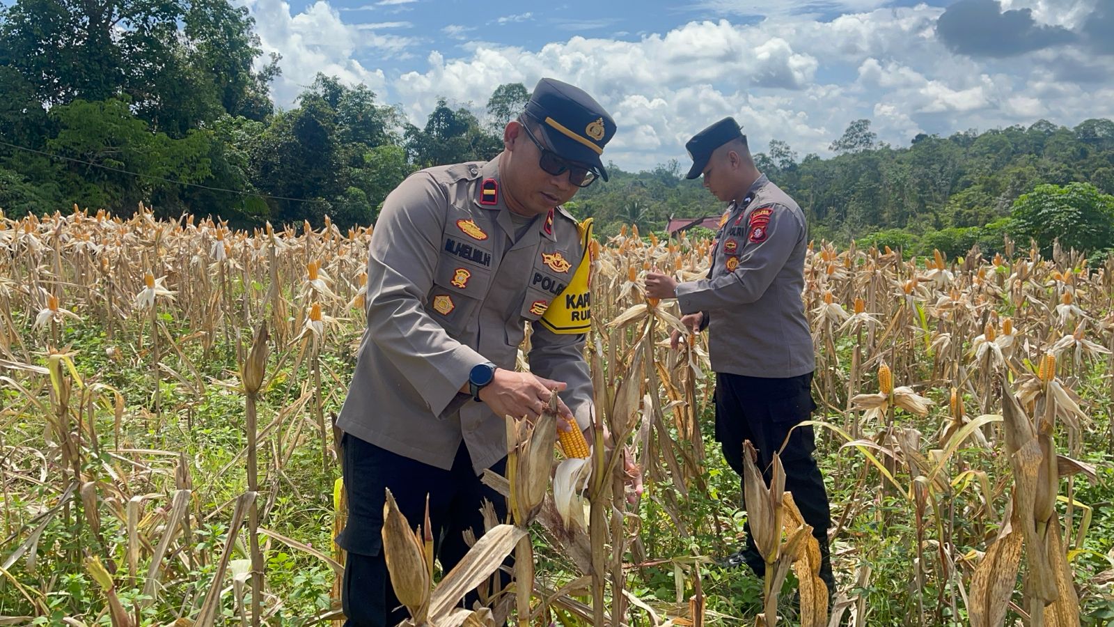 Panen Raya Kian Dekat, Polsek Rungan dan Pemdes Tajah Antang Raya Matangkan Persiapan