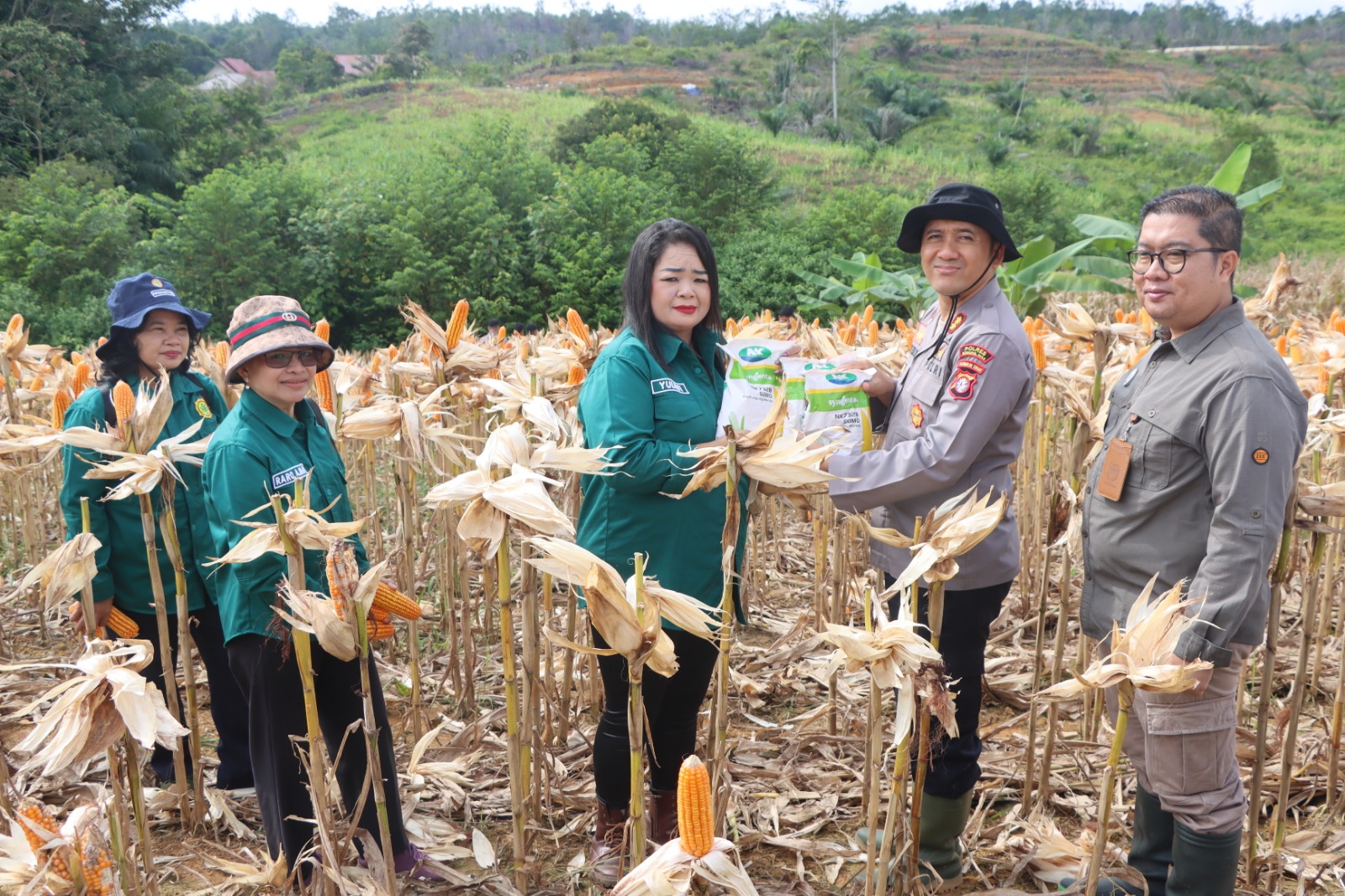 Polres Gunung Mas Panen Raya Jagung 8 Ton, Dukung Ketahanan Pangan Nasional